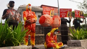 Tak Kunjung Terbitkan Komitmen Bebas Sangkar, Animal Friends Jogja Hadiahi McDonald’s Telur Penuh Darah