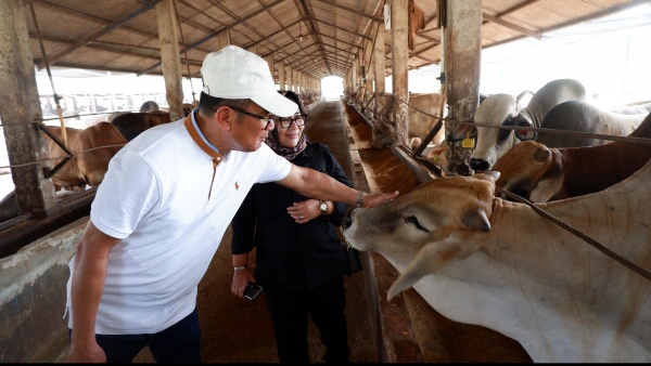 Direktur Pembiayaan Pertanian Merintis Ekosistem Pembiayaan Peternak Lokal