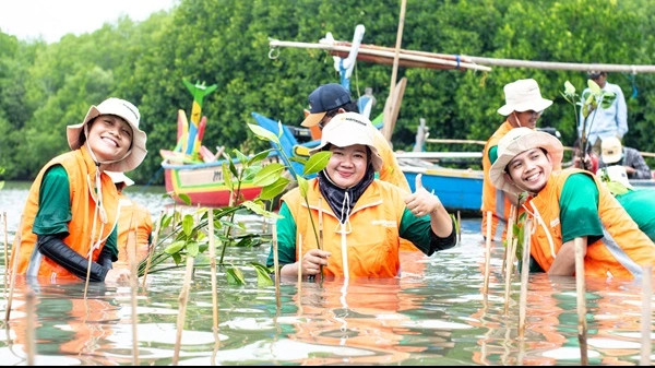 Peringati Hari Lingkungan Hidup Sedunia, Hankook Tire Tanam 2.500 Mangrove di Pesisir Muara Gembong